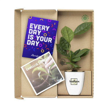 Logotrade promotional merchandise photo of: Treemore Letterbox Trees Tea plant