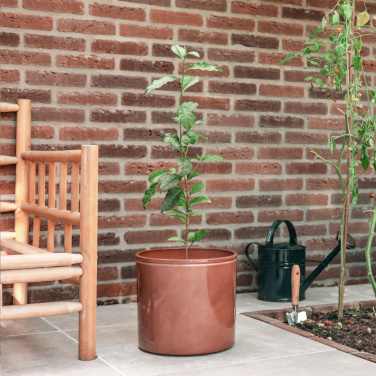 Logo trade promotional merchandise image of: Treemore Letterbox Trees Tea plant