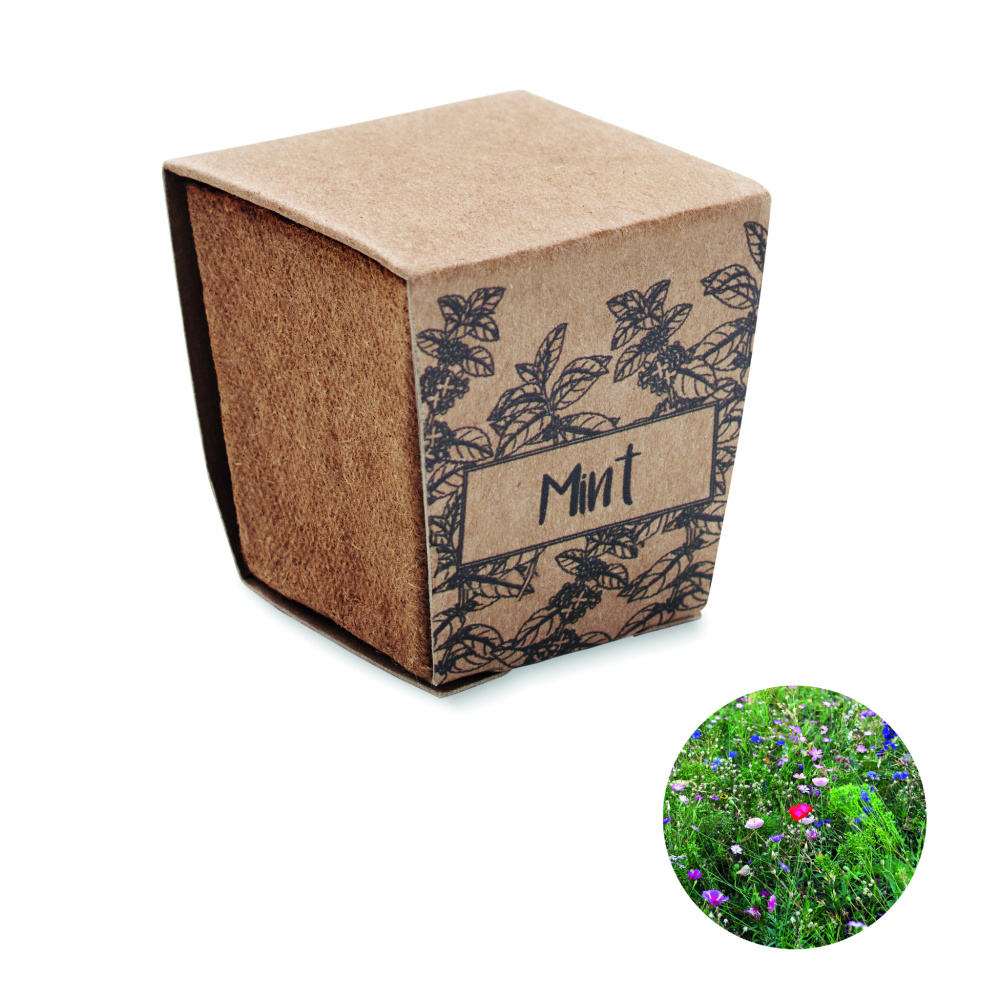 Logo trade promotional giveaways image of: Mint seeds growing kit