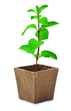 Logo trade business gifts image of: Mint seeds growing kit