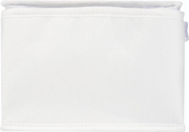 Logo trade promotional merchandise picture of: Spectrum 6-can recycled non-woven cooler bag 4L