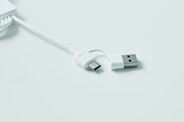 Logo trade promotional giveaway photo of: 2 in 1 charging cable type-C