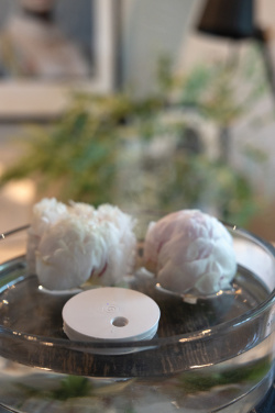 Logo trade business gift photo of: Breevia RCS rplasic re-chargeable floating humidifier