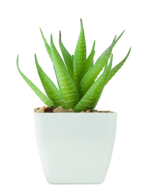 Logo trade promotional merchandise image of: Mini artificial plant