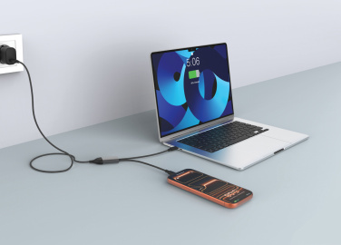Logotrade corporate gift picture of: Terra 100W RCS Dual USB C output cable