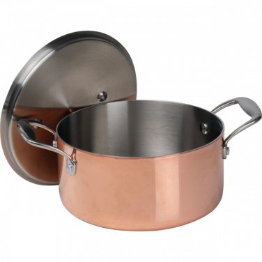 Induction pot CrisMa ⌀20,5 cm AGATA, product image