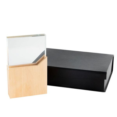 Trophy in wood and glass / Reward, product image