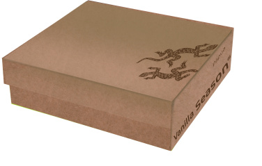 VS PAPUA gift box with champagne glasses, Transparent, product image