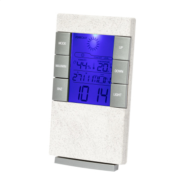 Florida – weather station, additional product view 2