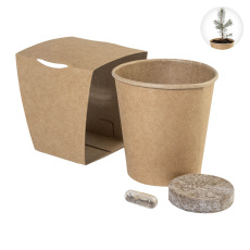 MerryGrow – Christmas tree growing kit