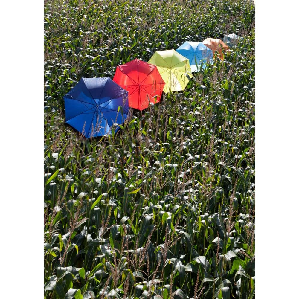 Automatic umbrella, purple, product image (1)
