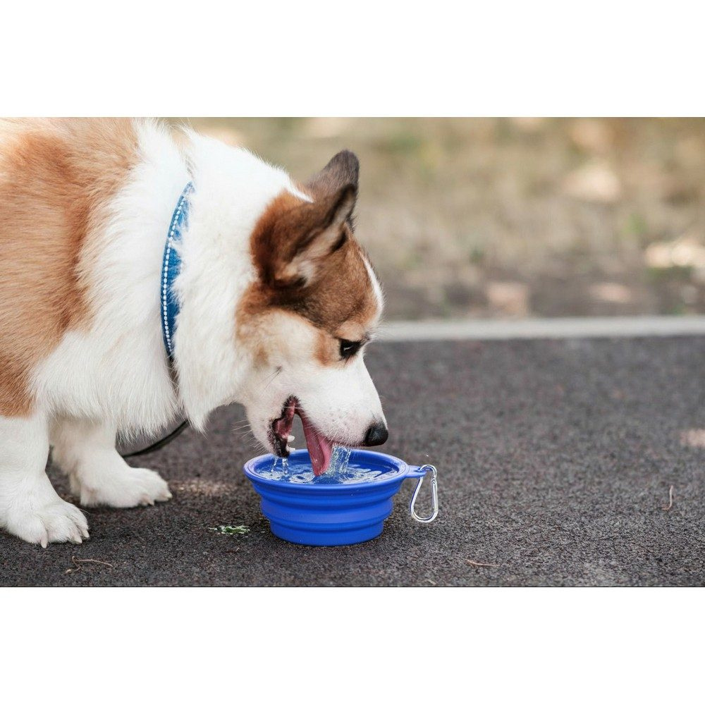 Foldable dog bowl | Platora, blue, product image (1)