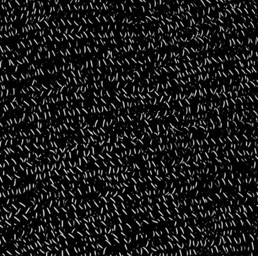 Reflective Beanie, black – Beechfield (4)