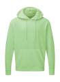 Hooded Sweatshirt Men, Neo Mint