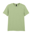 Softstyle Adult T-Shirt, Pistachio