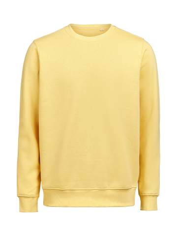 UM Crewneck (OCS-RCS) Regular Fit Unisex, Ray - Untagged Movement (1)
