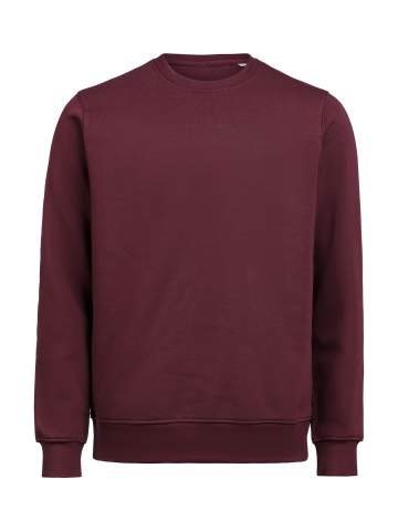UM Crewneck (OCS-RCS) Regular Fit Unisex, Prune - Untagged Movement (1)