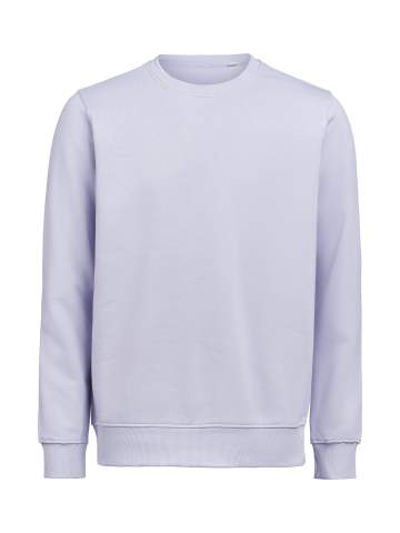 UM Crewneck (OCS-RCS) Regular Fit Unisex, Aster - Untagged Movement (1)