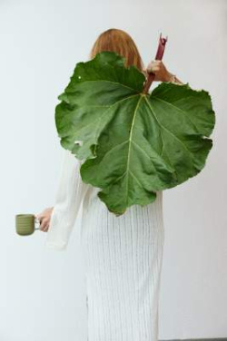 Ellen mug, 2-pcs - Sagaform (2)