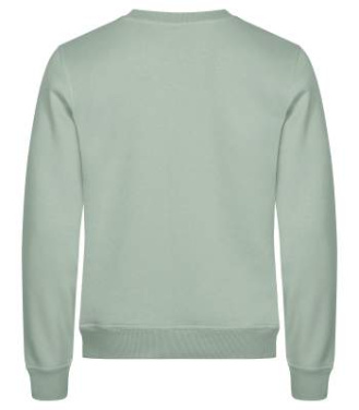 Miami Roundneck, Sage Green - Clique (4)