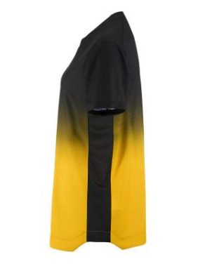 Evolve 2.0 Structured Graphic Jersey W, Black/Sweden Yellow - Craft (2)