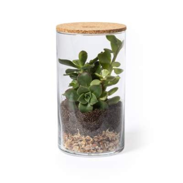 Terrarium Anymak – Makito (2)