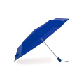 Umbrella Sandy, BLUE