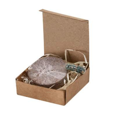 Plantable Pack Aquael, NATURAL – Makito (2)