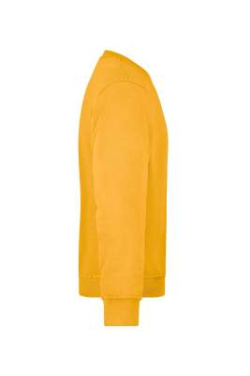 Workwear Sweatshirt, gold-yellow – James & Nicholson (3)