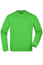 Workwear Sweatshirt, lime-green