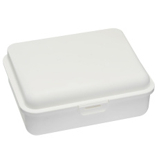 Lunch box, big