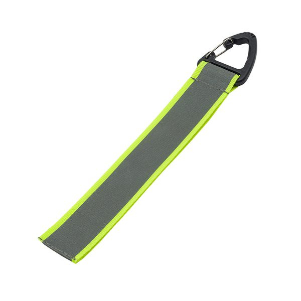 Flashy tag with carabiner, silver, product image (1)