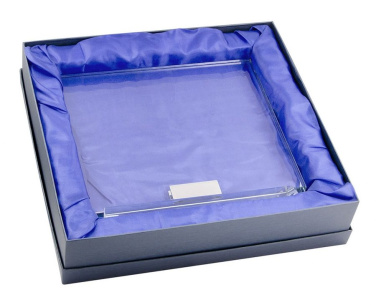 Glass award trophy 255 × 215 × 10 base h 19, product image (4)