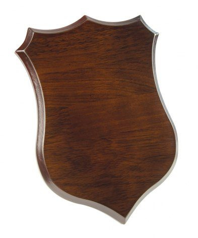Walnut-finish MDF award plaque, 180 × 250 × 15 mm, product image (1)