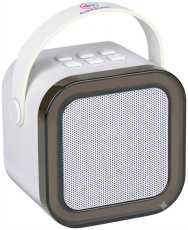 Wireless Mini Karaoke Speaker 5W