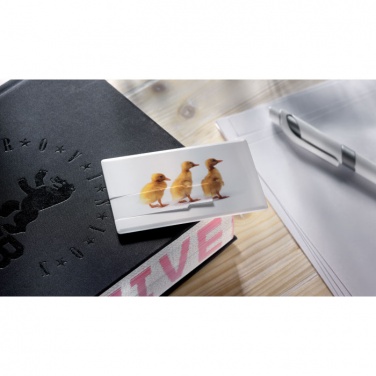 Logotrade firmakingituse foto: Krediitkaart. USB-välkmälu 16 GB