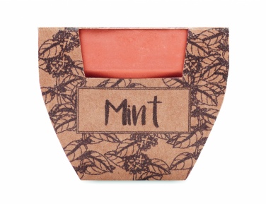 Logotrade meened pilt: Terrakota potti piparmündiseemned