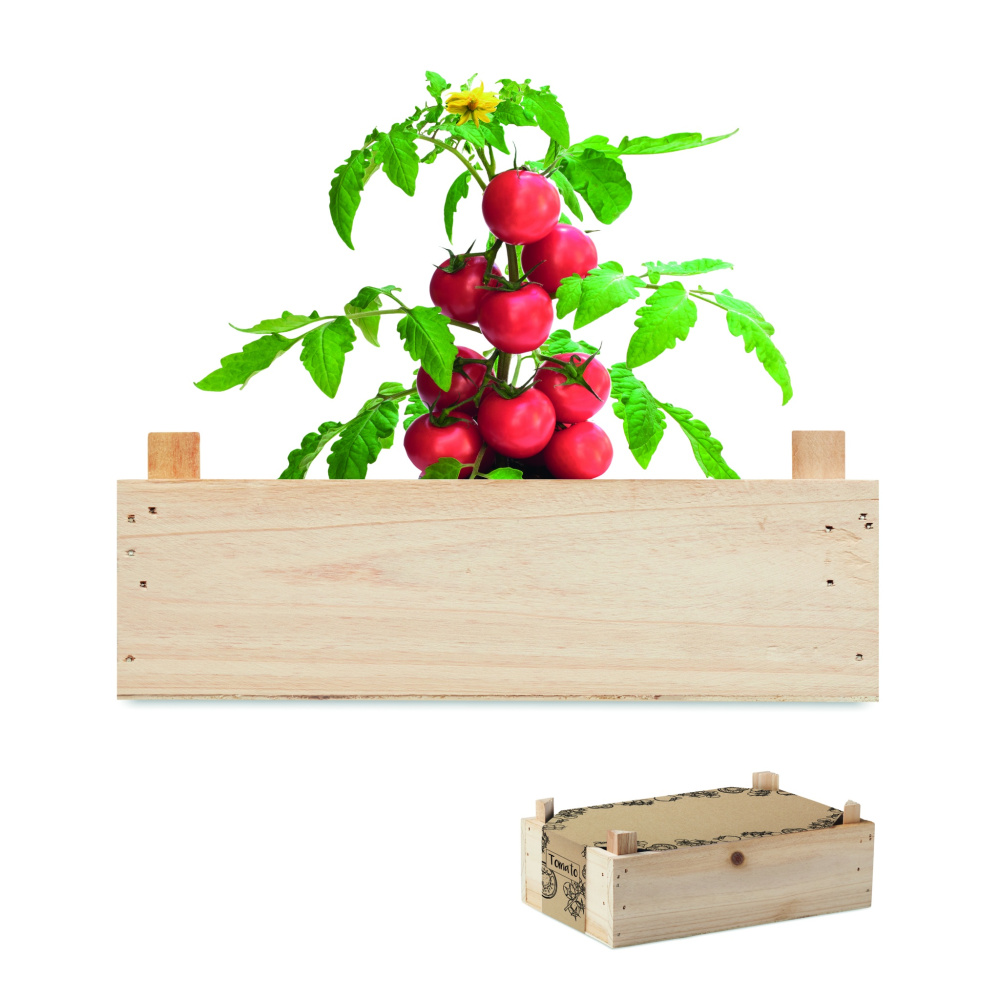 Tomatikomplekt puidust kastis, Puit, värvivariant