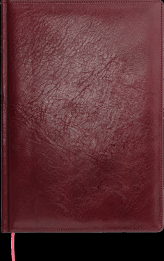 Logotrade firmakingitused pilt: Kalendermärkmik 642131