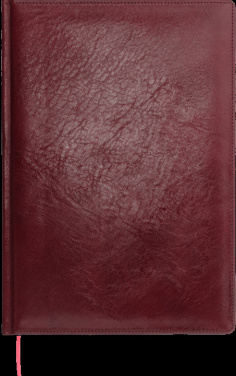 Logo trade reklaamtoote pilt: Kalendermärkmik 645131