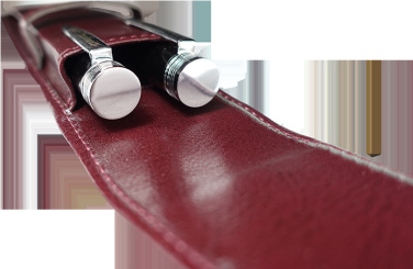 Logotrade ärikingitused pilt: Pastapliiatsi vutlar 236019