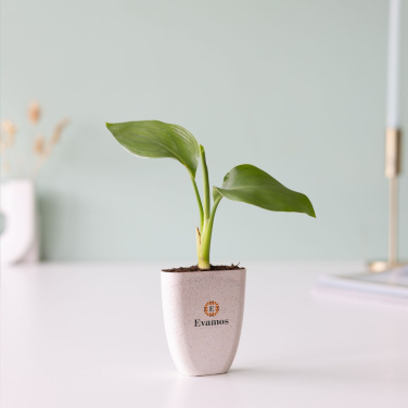 Logotrade reklaamkingi foto: Treemore Letterbox Trees Paradiisilinnu taim