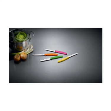 Logo trade meened foto: Victorinox Swiss Classic lauanuga