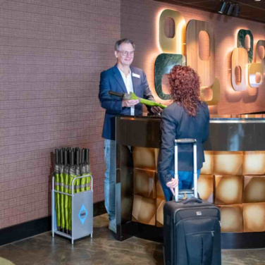 FARE® Doubleface kahevärviline automaatne vihmavari logoga, laimiroheline / hall – detailvaade 8
