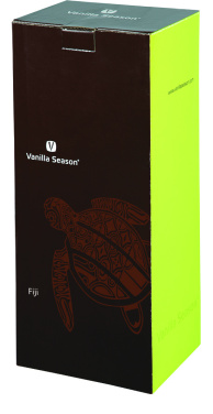 VS FIJI klaasist vaas, läbipaistev, tootepilt