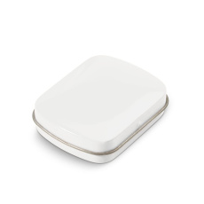 Mini plekk-piparmündikarp