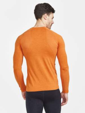 CORE Dry Active Comfort Ls – spordisärk (meestele), Kastan (karp) - Craft (3)