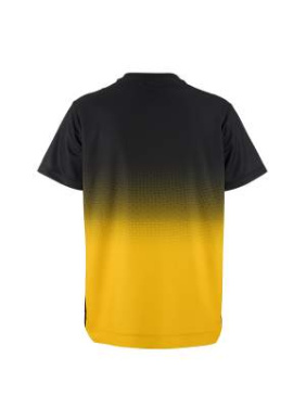 Evolve 2.0 Structured Graphic – spordisärk (naistele), Must/Rootsi kollane - Craft (3)