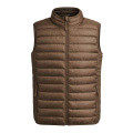 Vest Belsan, Pruun
