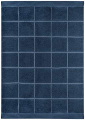 Terry Lord Nelsoni võit, Tumesinine